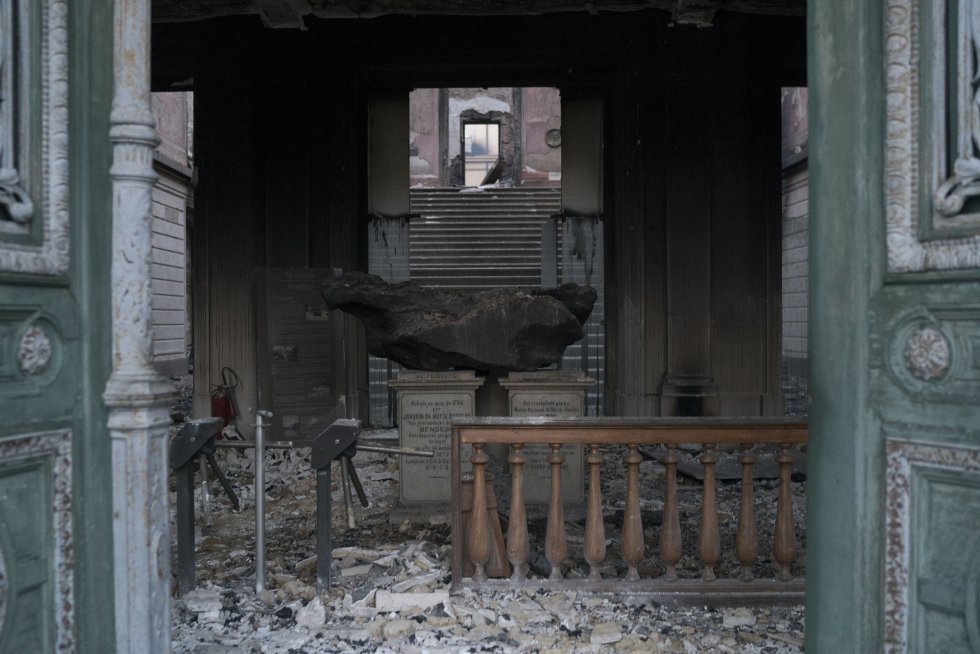Museo de Historia Natural de Brasil