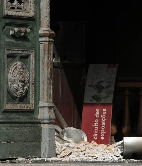 Museo de Historia Natural de Brasil.