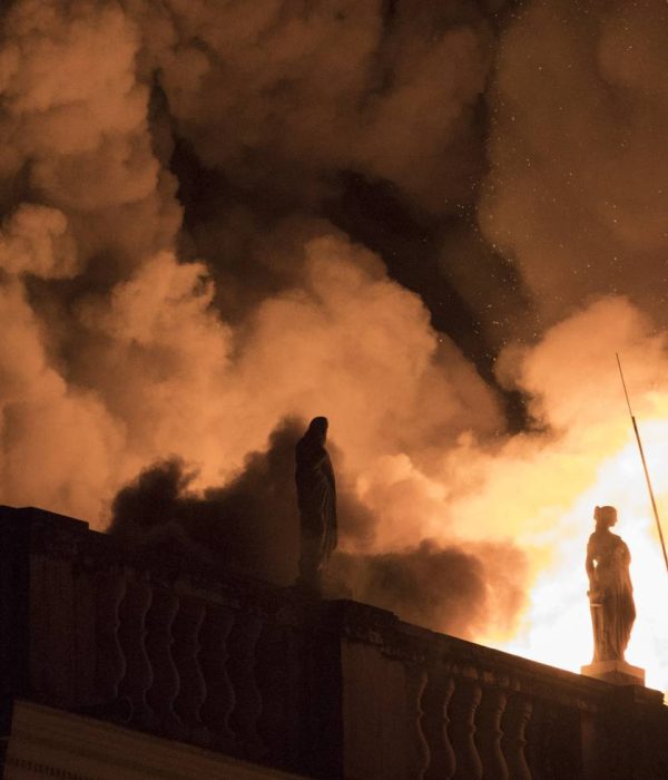 Incendio en el Museo de Historia Natural de Brasil.