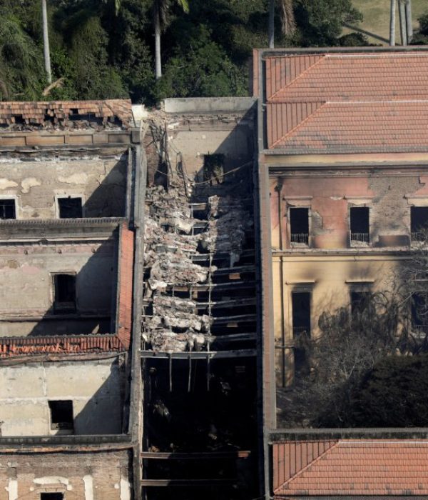 Museo de Historia Natural de Brasil.