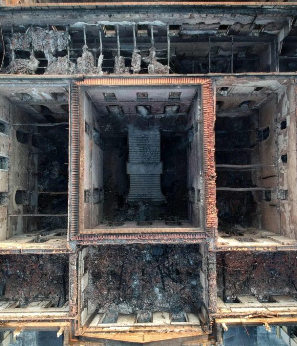 Museo de Historia Natural de Brasil.