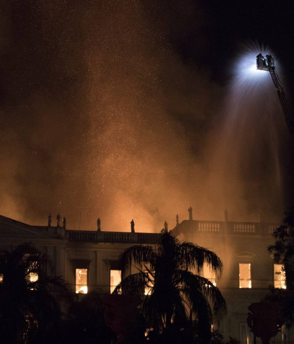 Incendio en el Museo de Historia Natural de Brasil.