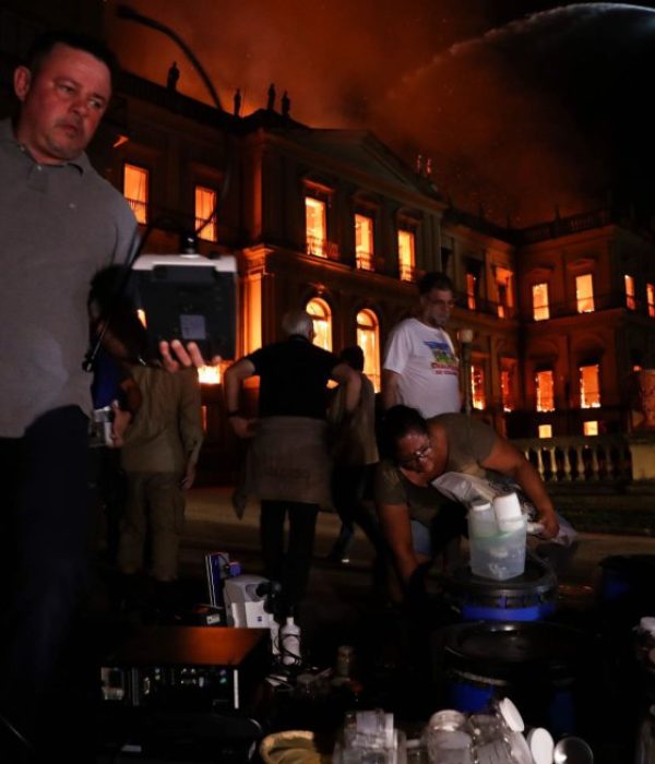 Incendio en el Museo de Historia Natural de Brasil.