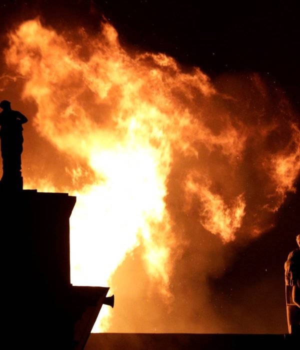 Incendio en el Museo de Historia Natural de Brasil.
