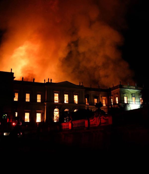 Incendio en el Museo de Historia Natural de Brasil.