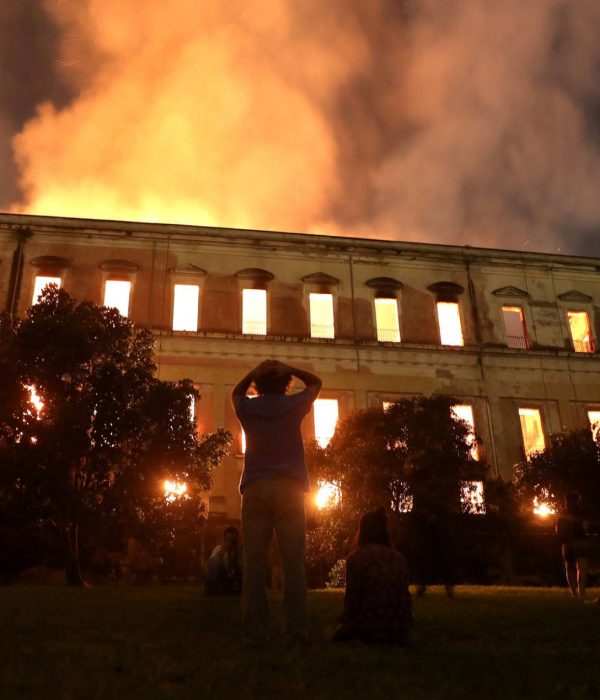 Incendio en el Museo de Historia Natural de Brasil.