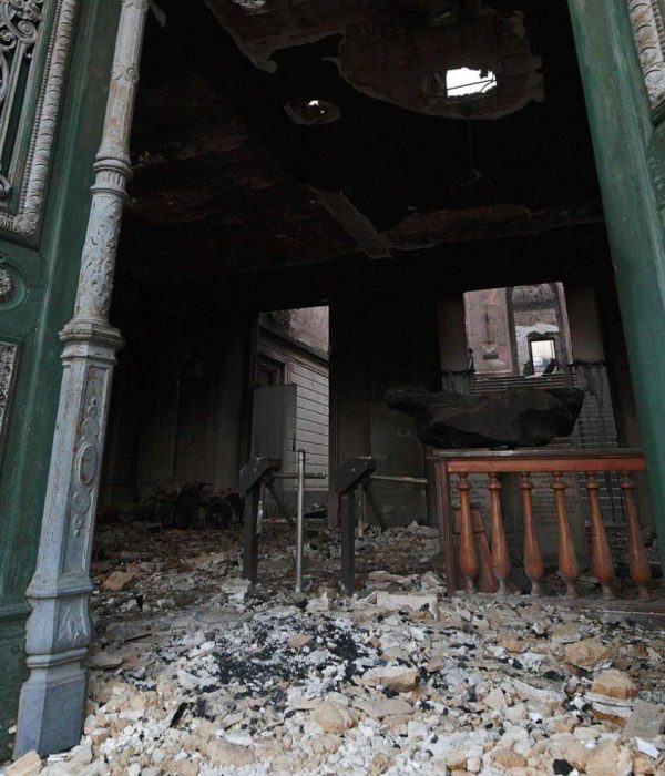 Museo de Historia Natural de Brasil.