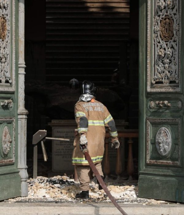 Museo de Historia Natural de Brasil.