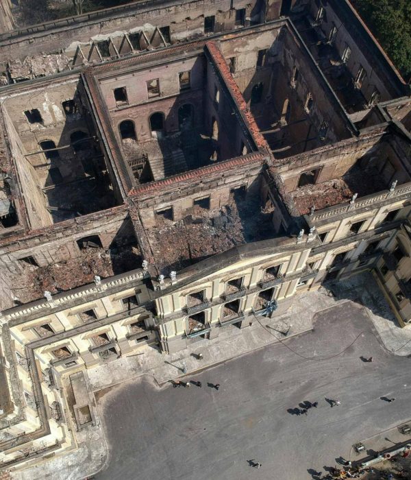 Museo de Historia Natural de Brasil.