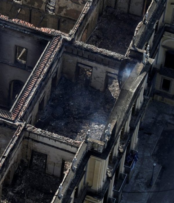 Museo de Historia Natural de Brasil.