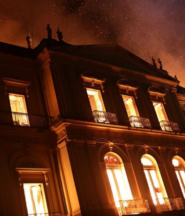 Incendio en el Museo de Historia Natural de Brasil.