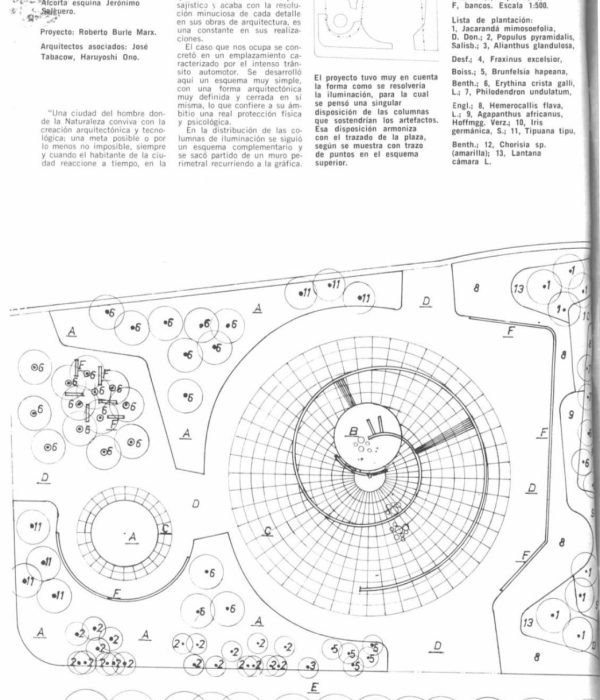 Plano de vegetación de la plaza Perú. (Fuente: Nuestra arquitectura núm. 484, 1973, Buenos Aires Sociedad Central de Arquitectos.)